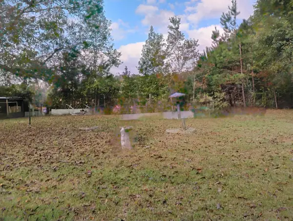 389 Rockdale, Livingston, TX 77351