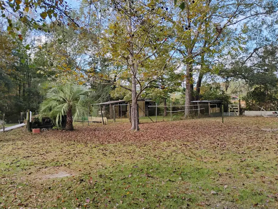 389 Rockdale, Livingston, TX 77351 - Image #3