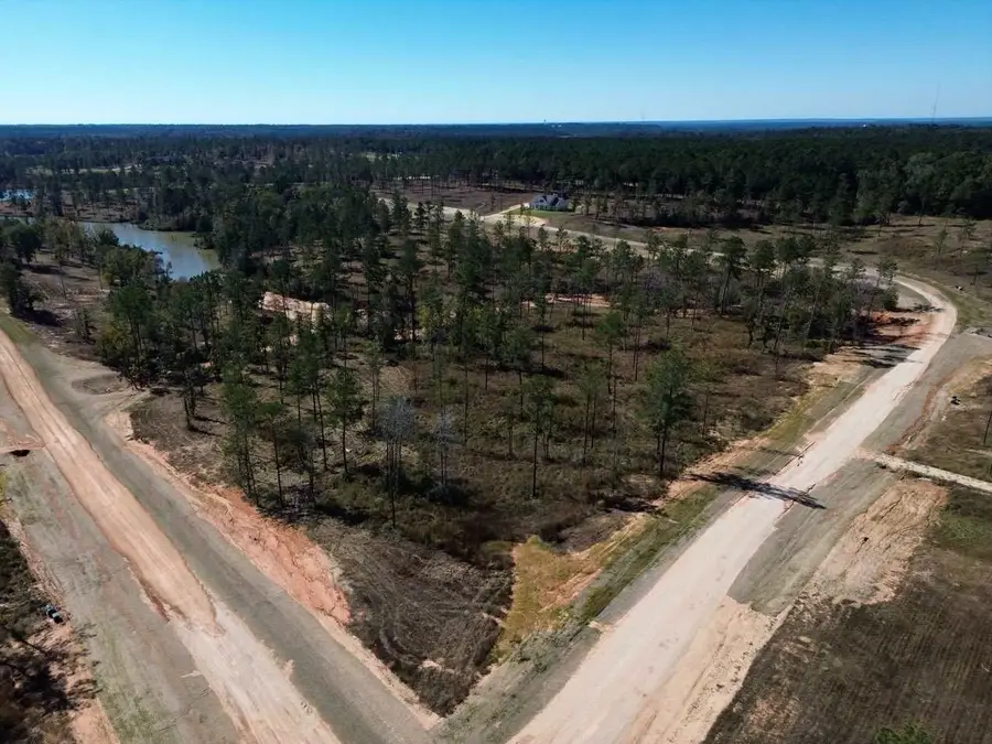 LOT 126 Tranquility Road, Livingston, TX 77351 - Image #3