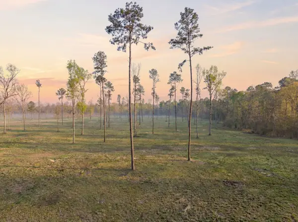 Lot 4 Johnson Drive, Livingston, TX 77351