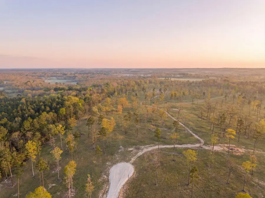 Lot 4 Johnson Drive, Livingston, TX 77351 - #2
