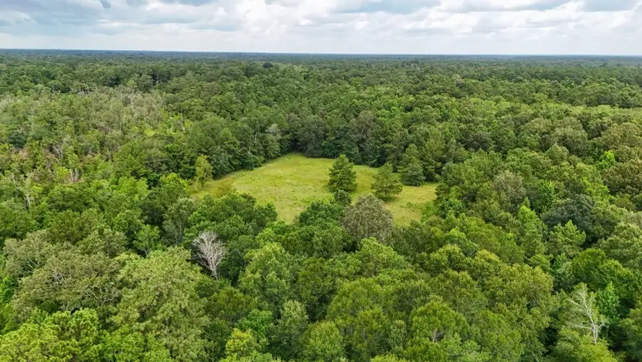 TBD Hwy 90 N, Devers, TX 77538 - #3