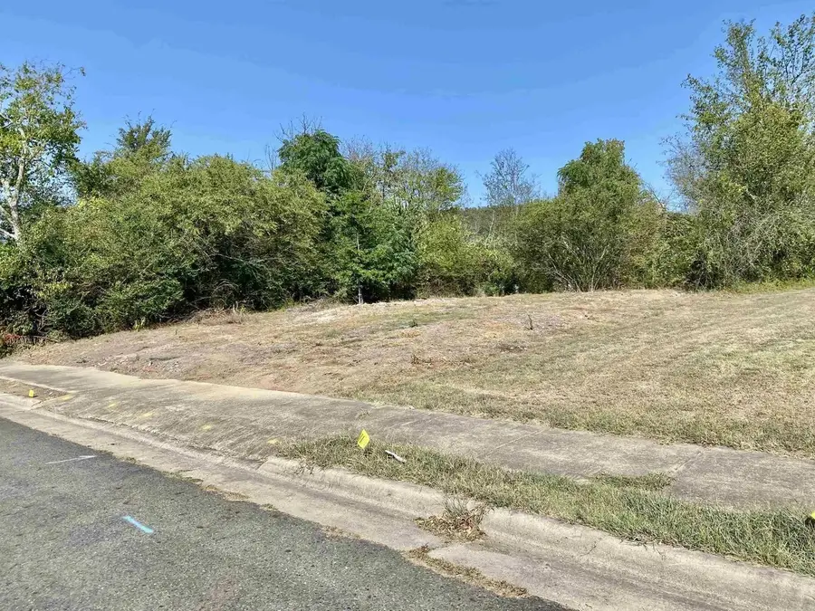 311 Garden Street, Hot Springs Township, Ar 71901 - Image #3