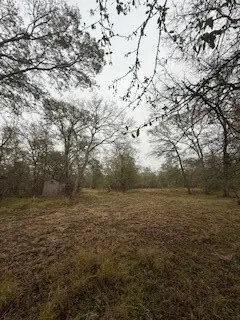 0 Tierra Grande Drive, Needville, TX 77461 - Image #3