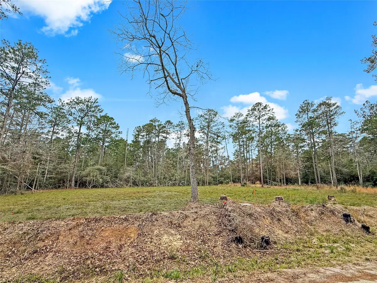 252 Amblewood Drive, Brookeland, TX 75931 - #1