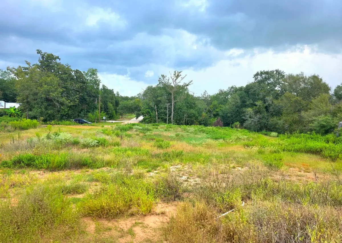 37903 Antrim Street, Hempstead, TX 77445 - #1