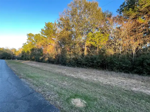 28921 Mustang Drive, Waller, TX 77484