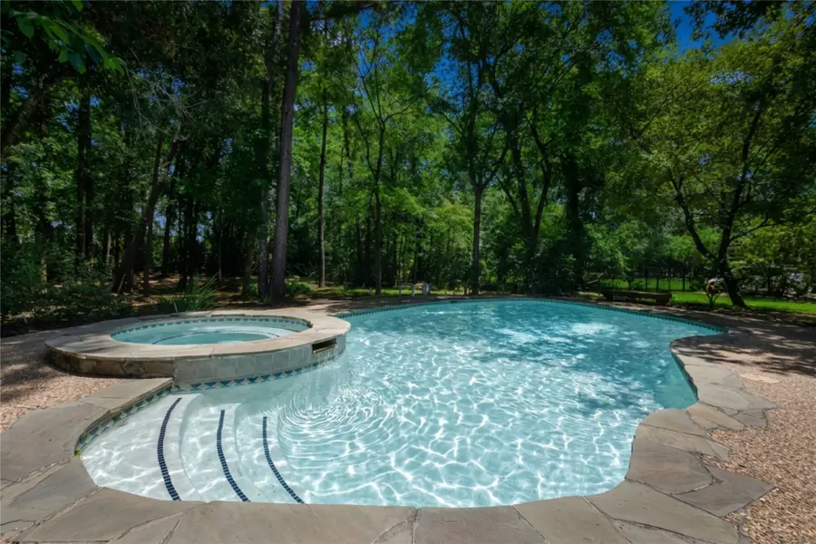 42 Skyflower Drive, The Woodlands, TX 77381 - #2