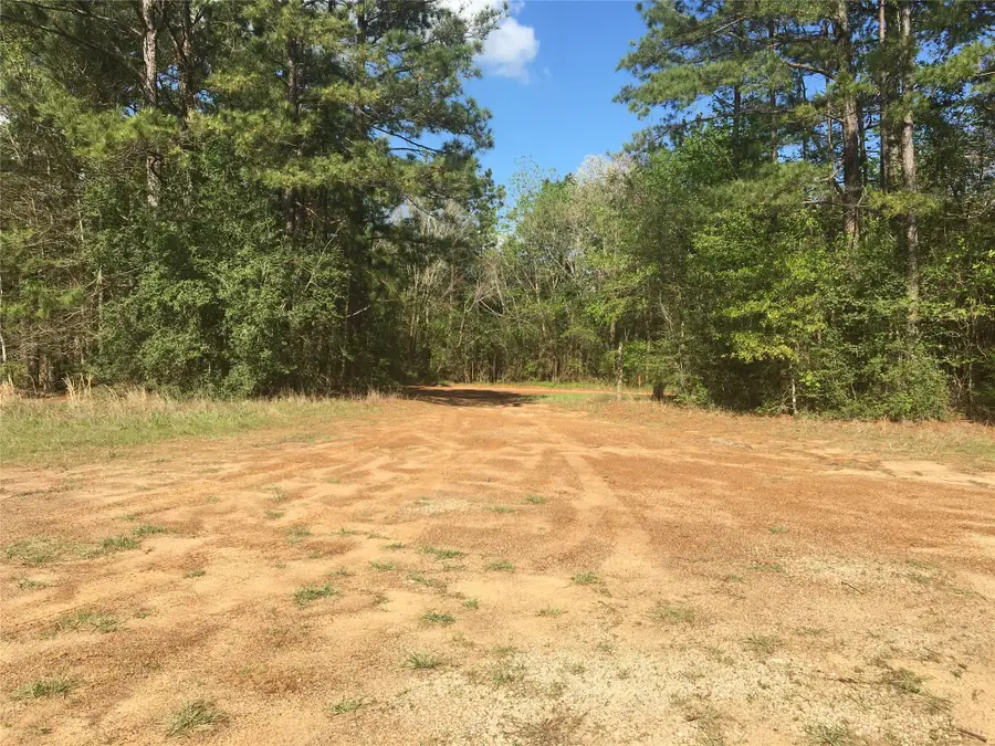 Lot 15 County Road 175, Garrison, TX 75946 - Image #3