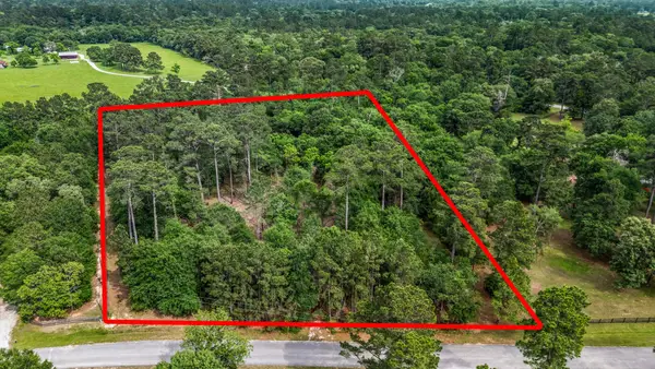 26020 Pine Shadows Drive, Hockley, TX 77447