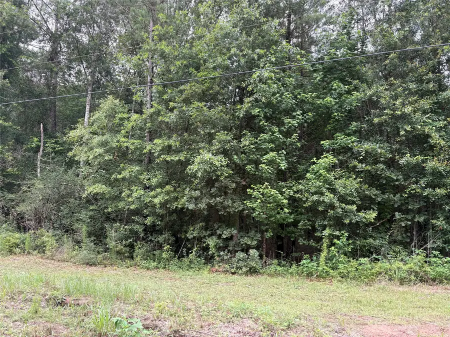 TBD Buffalo Subdivision, Livingston, TX 77351 - #3