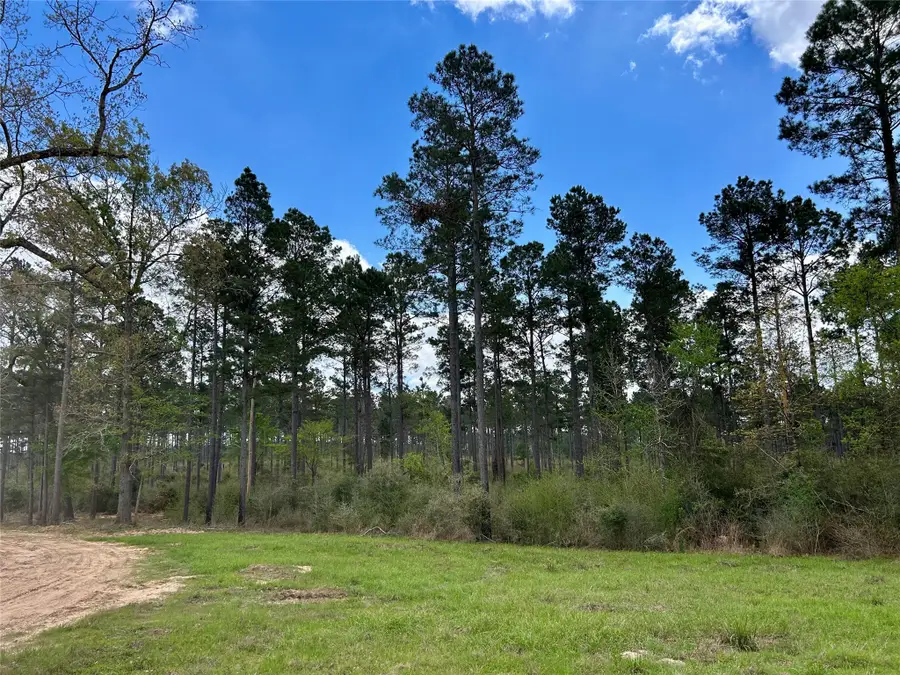 000 Na, Alto, TX 75925 - #2