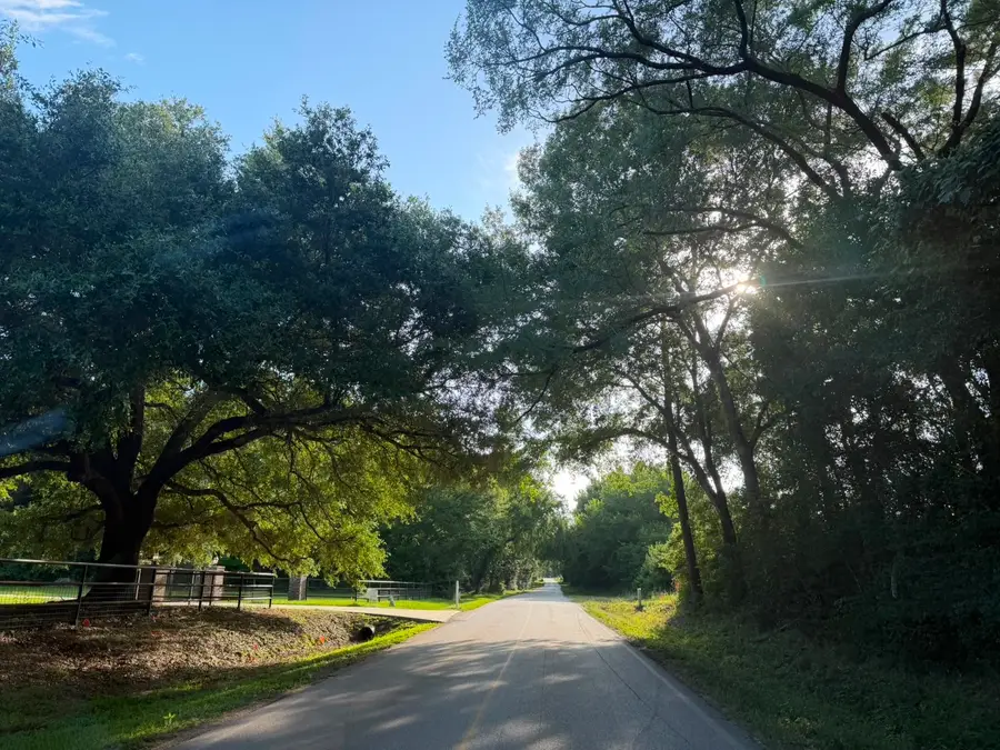 TDB Lot 10 Bellinger Road, Montgomery, TX 77316 - #3