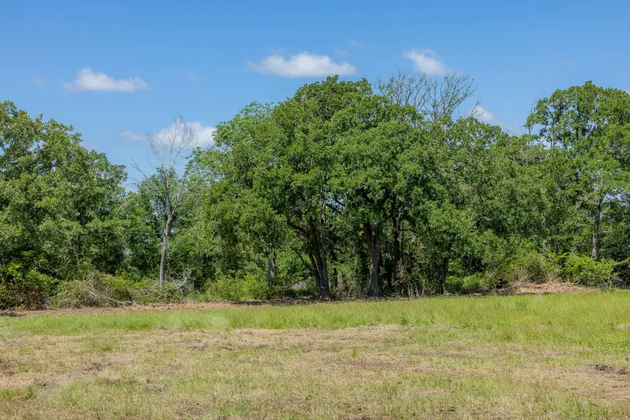 6501 Atakapan Trail, Bedias, TX 77831 - #2