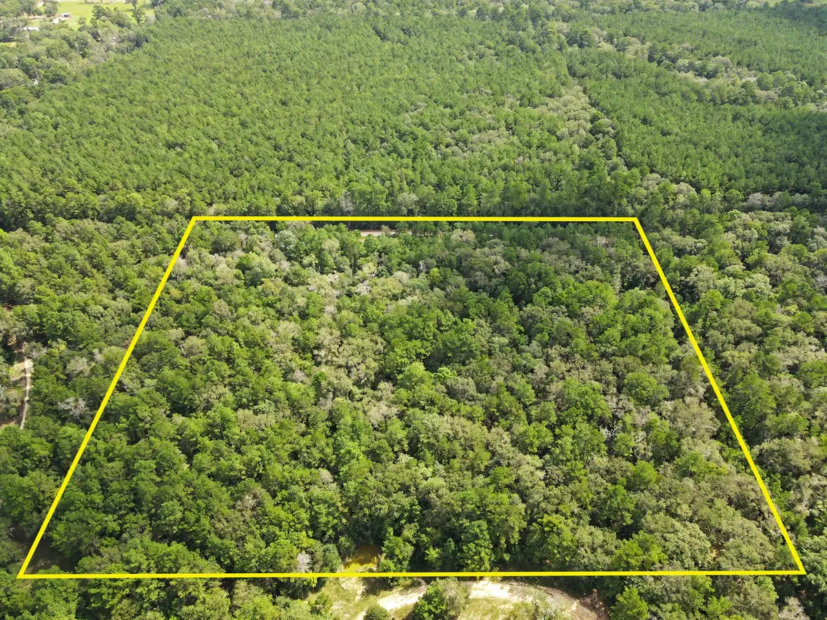 1153 Smith Lane, Cleveland, TX 77328 - #1