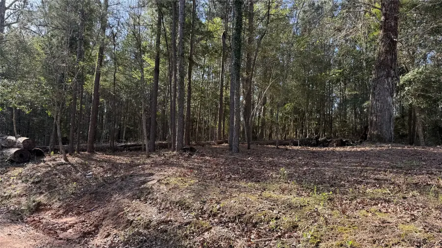 361 E Slumberlane Drive, Livingston, TX 77351 - #3