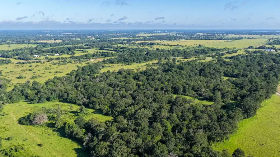 0 Fm 2158, Midway, TX 75852 - #2