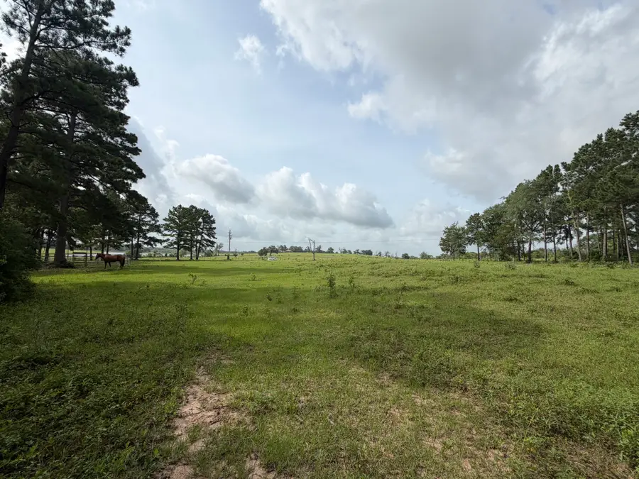 6779 County Road 215, Anderson, TX 77830 - #2