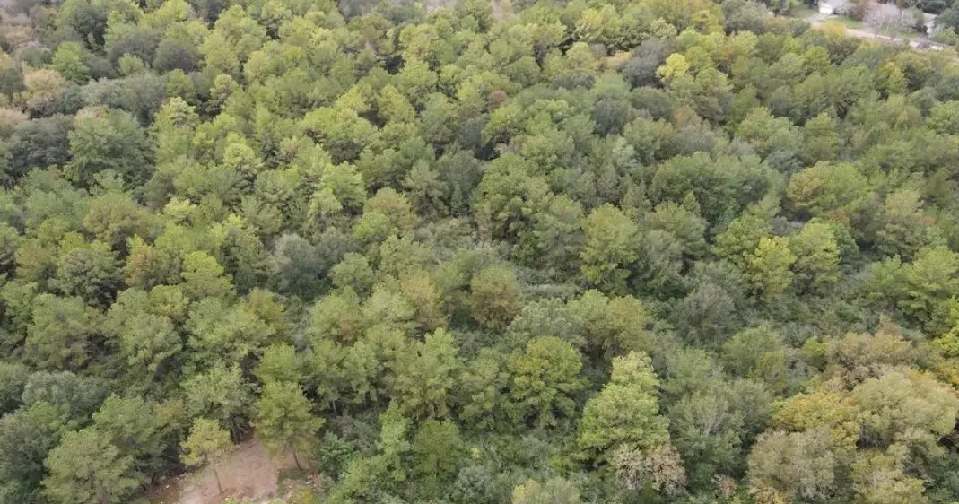 3 Washington, Houston, TX 77088 - Image #1