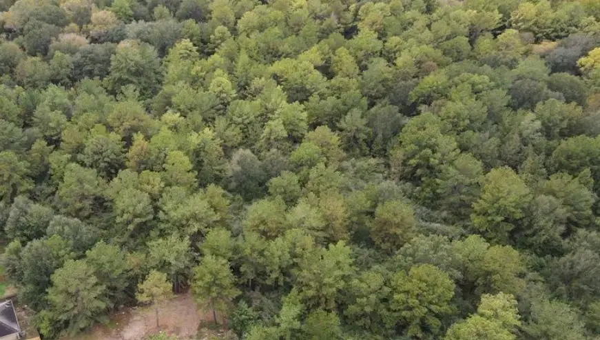 3 Washington, Houston, TX 77088 - Image #3