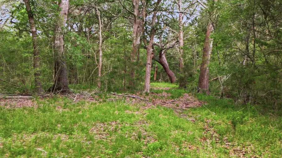 1165 Cr 213 Tract 3, Weimar, TX 78962 - #2