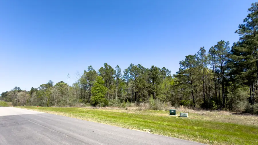 15824 Wood Grove Way, Willis, TX 77378 - #2