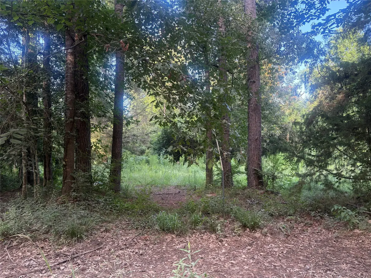 23881 Simpson Lane, Saratoga Batson, TX 77585 - #1