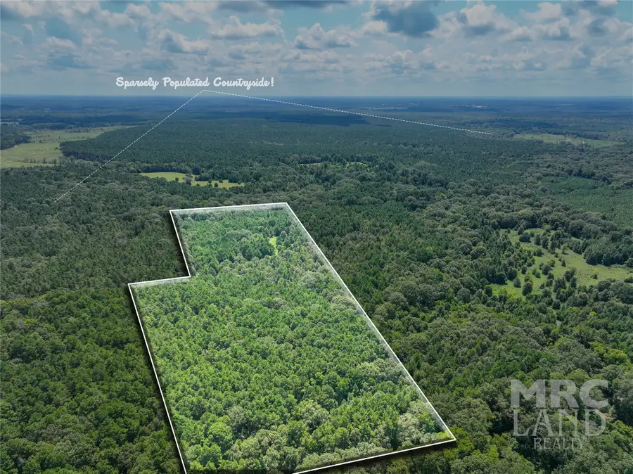 00 County Road 3366, Tenaha, TX 75974 - #2