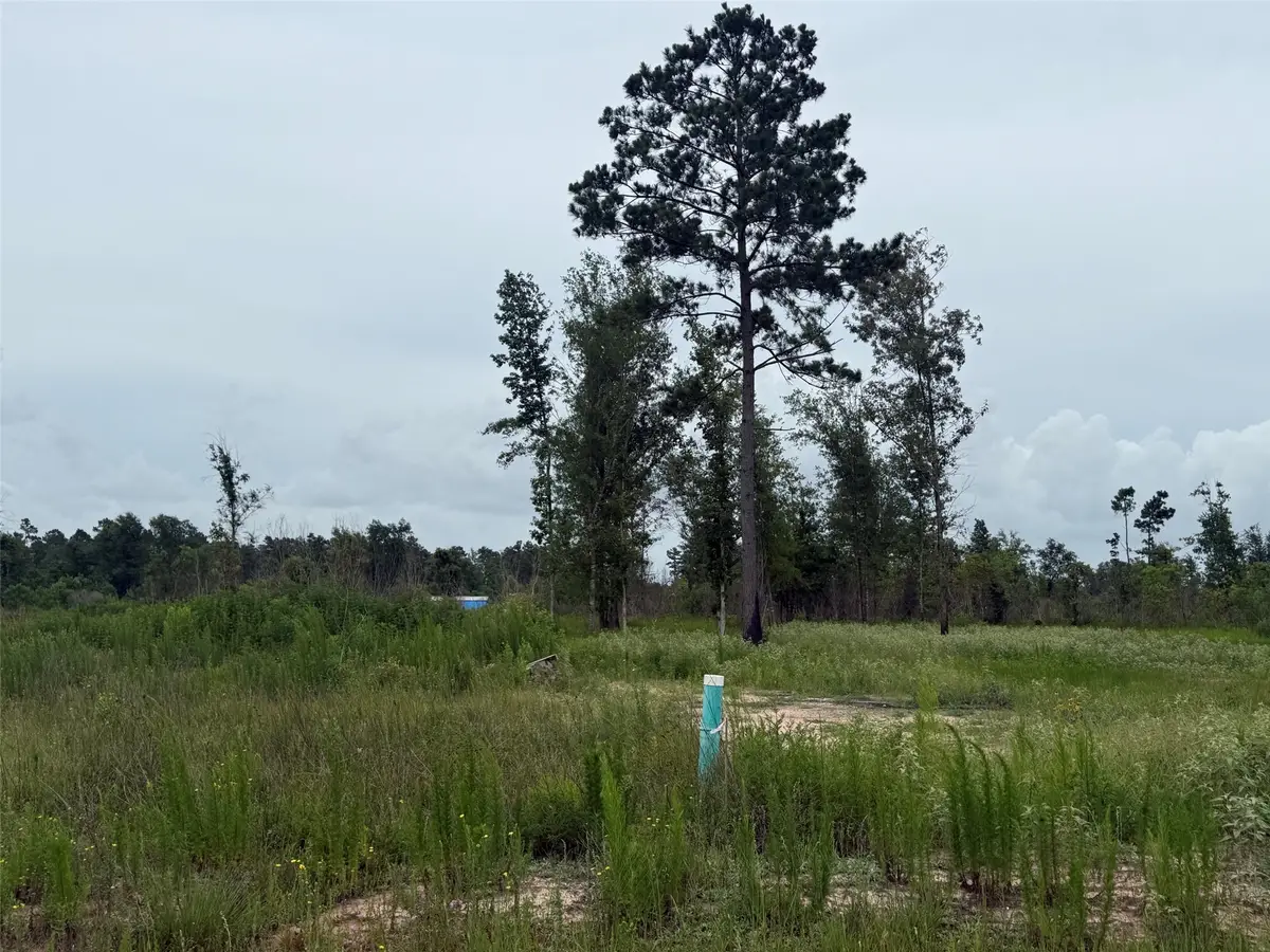 390 Road 5879, Cleveland, TX 77327 - #1