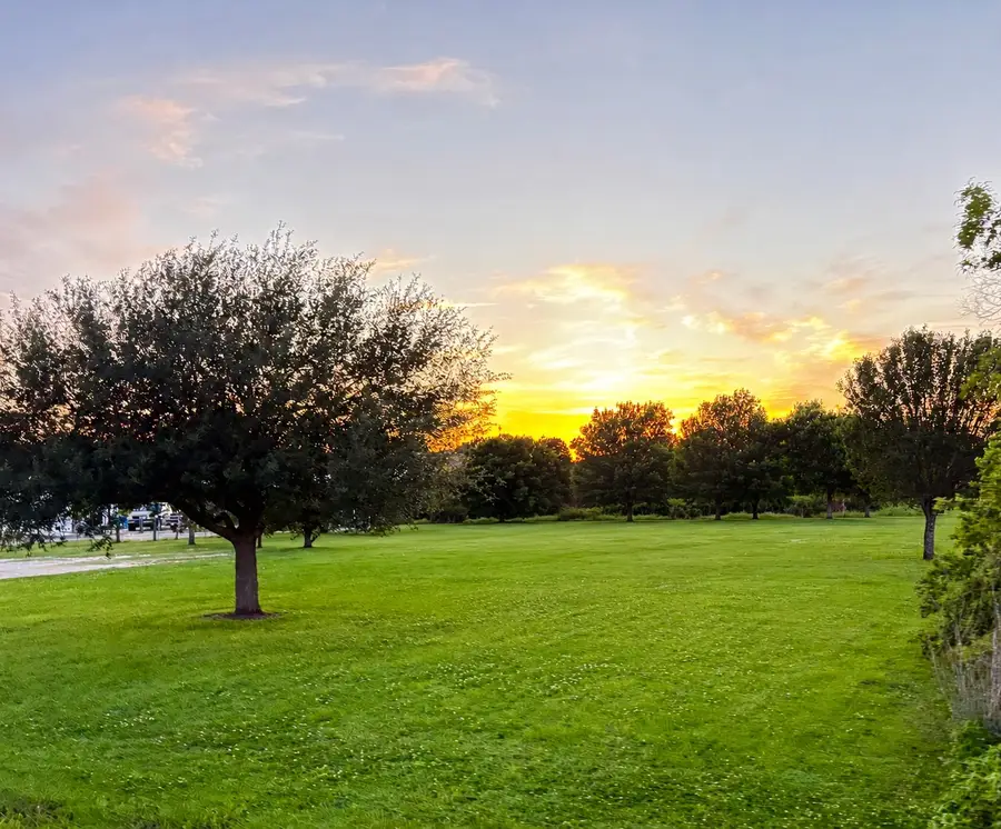 9062 Drachenberg Road Road, Beasley, TX 77417 - #2