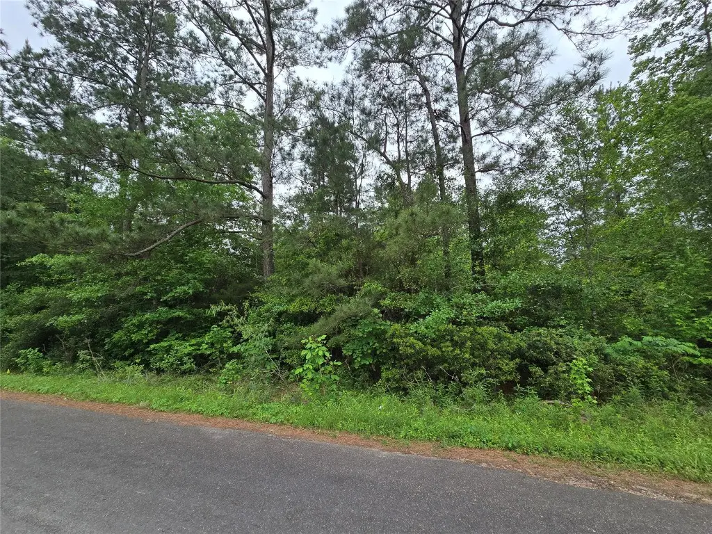 TBD Eastepp Road, Livingston, TX 77351 - #1
