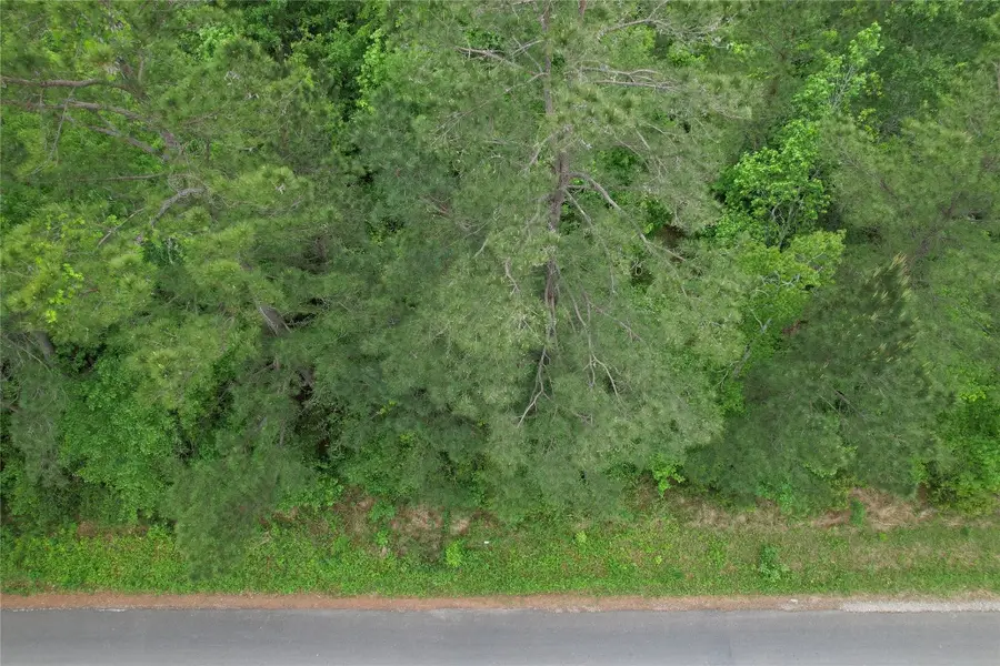 TBD Eastepp Road, Livingston, TX 77351 - #3