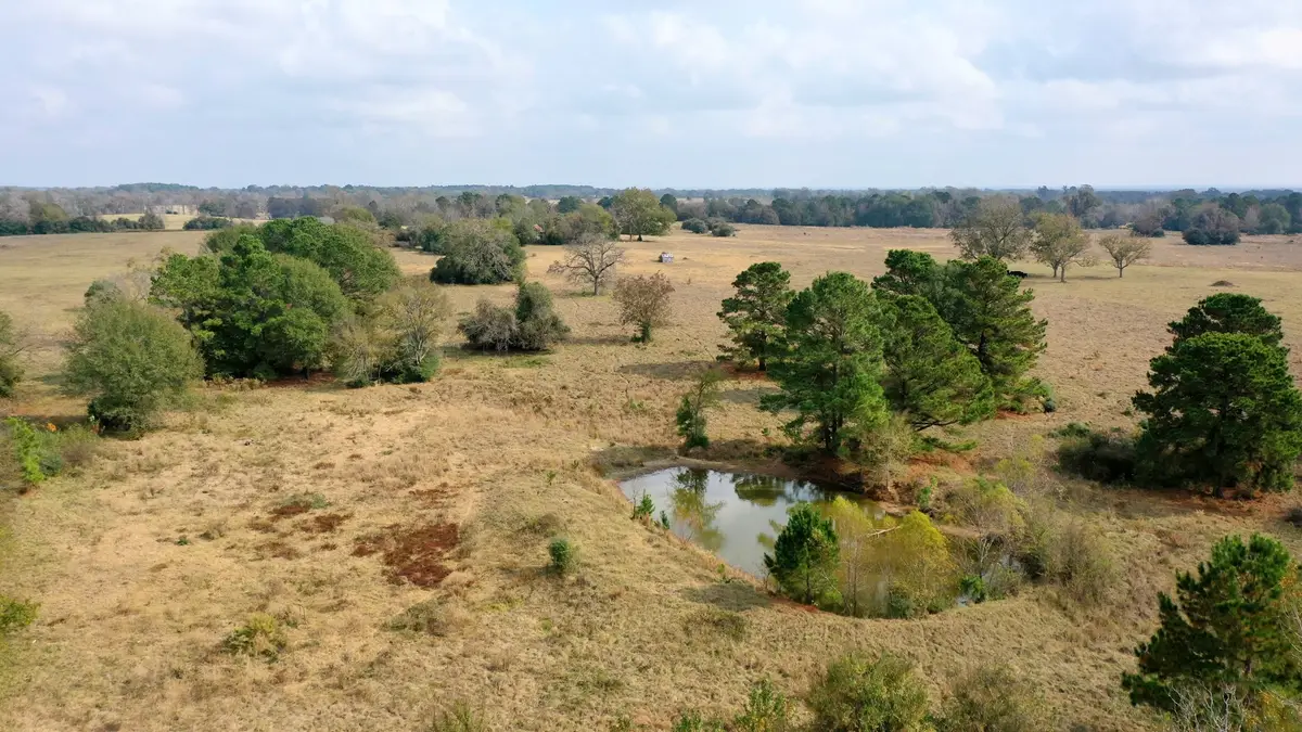 TBD Pr 1260, Centerville, TX 75833 - Image #1