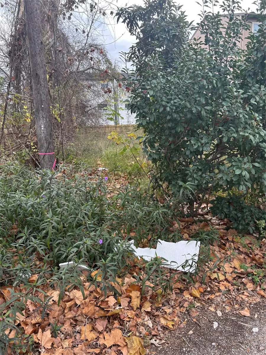 1712 Moody Street, Houston, TX 77009 - Image #3