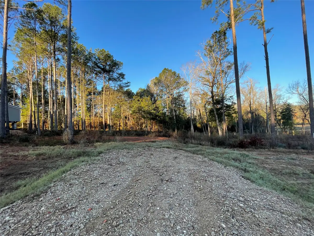 11345 Annie Creek Drive, Willis, TX 77378 - #1
