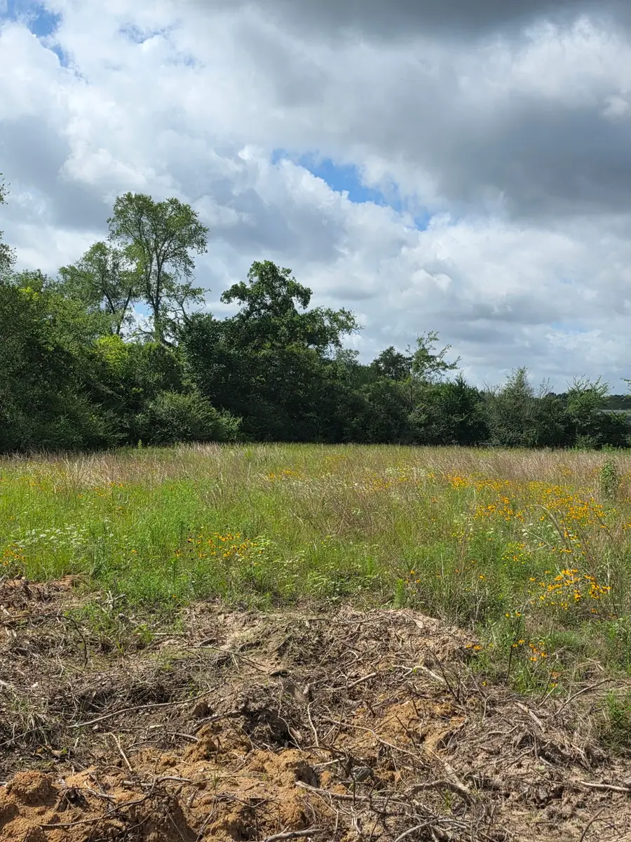 TBD LOT 10 County Road 201, Plantersville, TX 77363 - #3