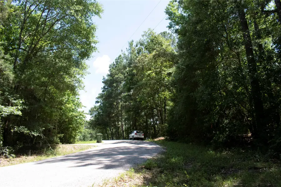 TBD Dogwood Lane, Huntsville, TX 77320 - #3