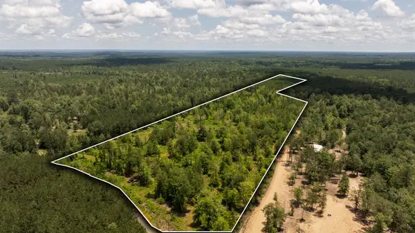 00 Cr 4040, Woodville, TX 75979