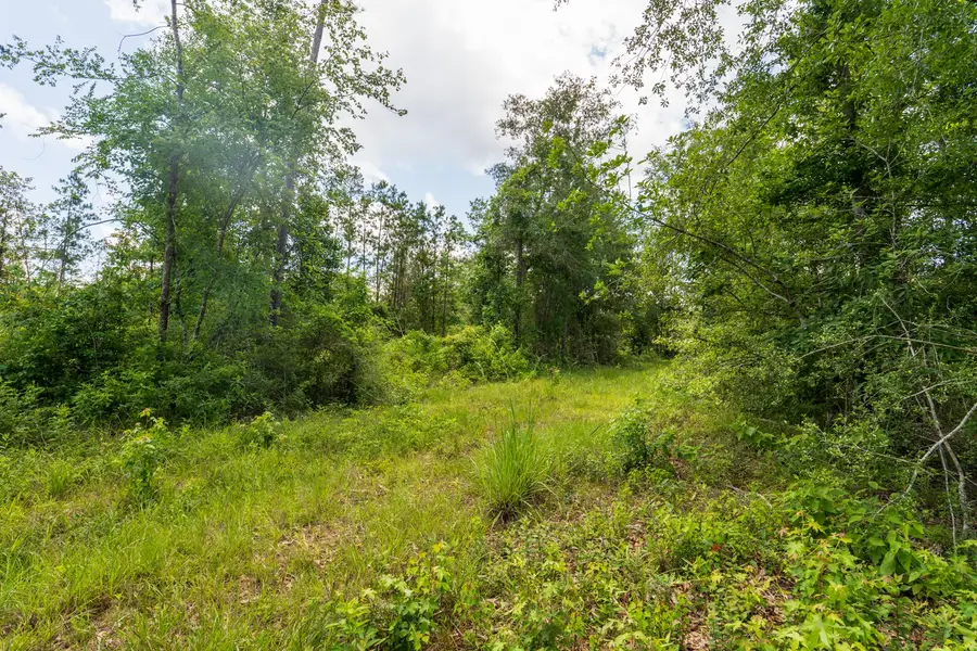 00 Cr 4040, Woodville, TX 75979 - #2