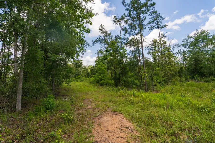 00 Cr 4040, Woodville, TX 75979 - #3