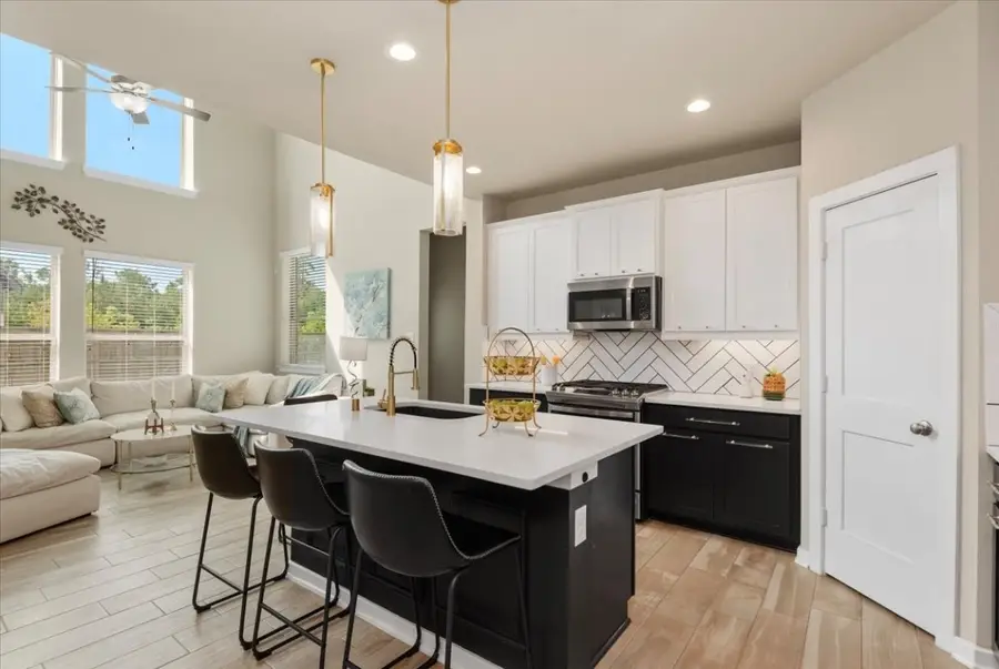 17814 Tree Of Heaven, Conroe, TX 77385 - #3
