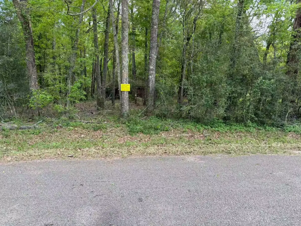 24838 Marks Road, Splendora, TX 77372 - #1