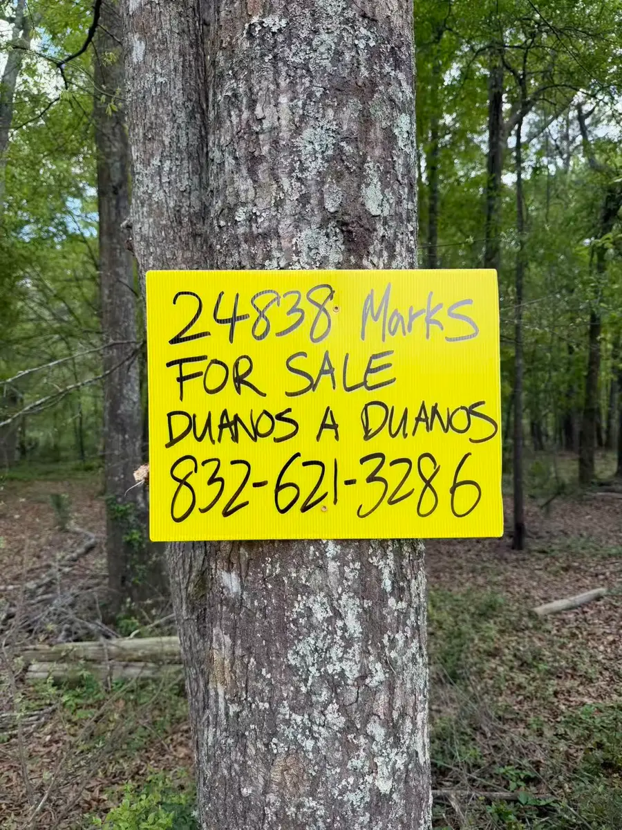 24838 Marks Road, Splendora, TX 77372 - #3