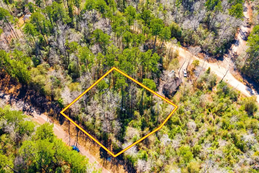 Lot 35 N Friar Tuck Drive, Ivanhoe, TX 75979 - #2