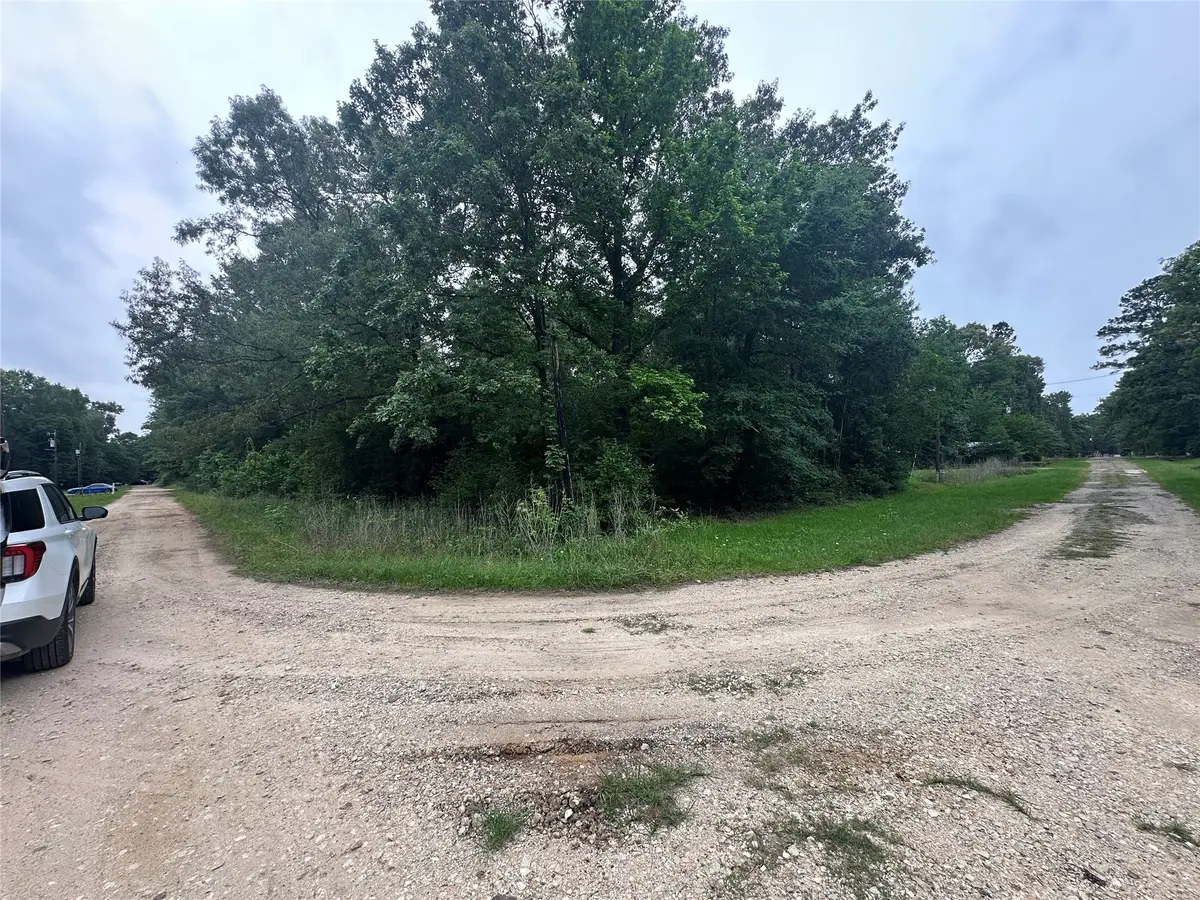 213 Neibel Drive, Livingston, TX 77351 - #1