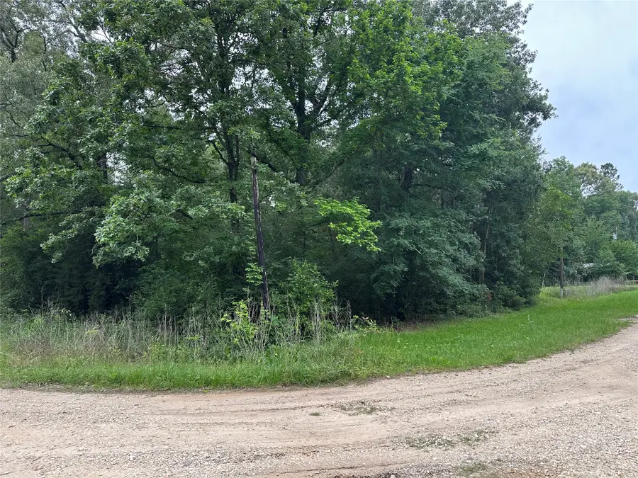 213 Neibel Drive, Livingston, TX 77351 - #2