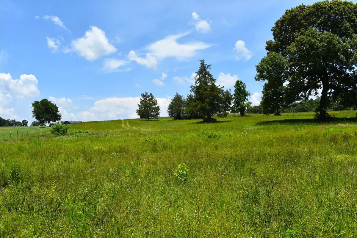 8034 E County Road 212, Buffalo, TX 75831 - #1