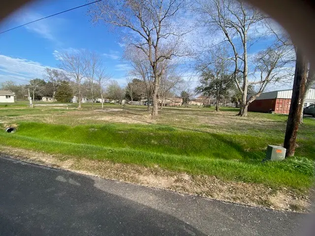 TBD Plum Street, Bedias, TX 77831 - Image #3