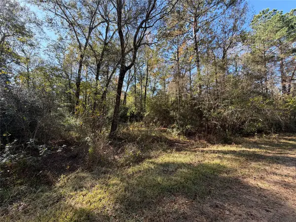 Lot 8A Private Road 2055, Hull, TX 77564