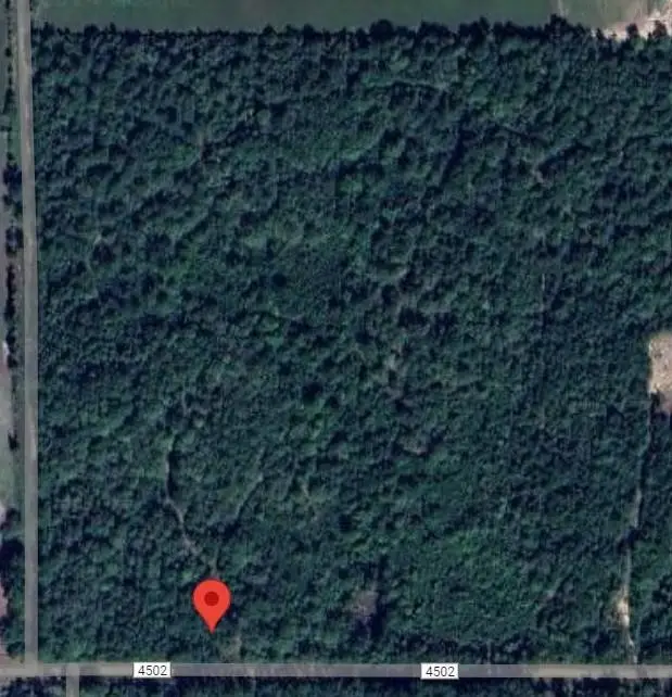 560 County Road 4502, Hillister, TX 77624 - Image #3